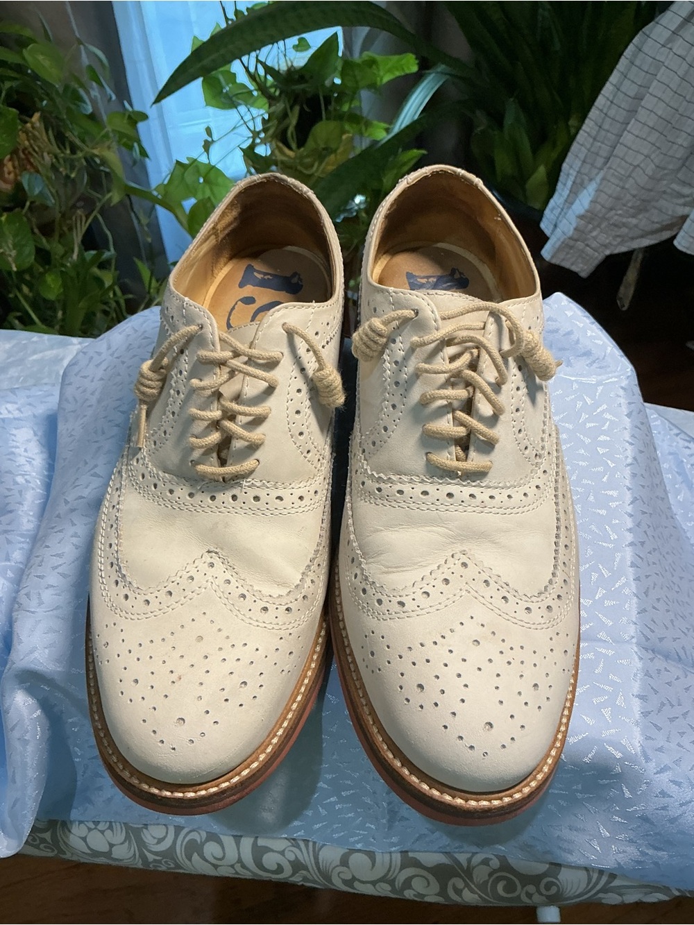 1901 Cream Wingtip Brogue Lace-Up Oxfords